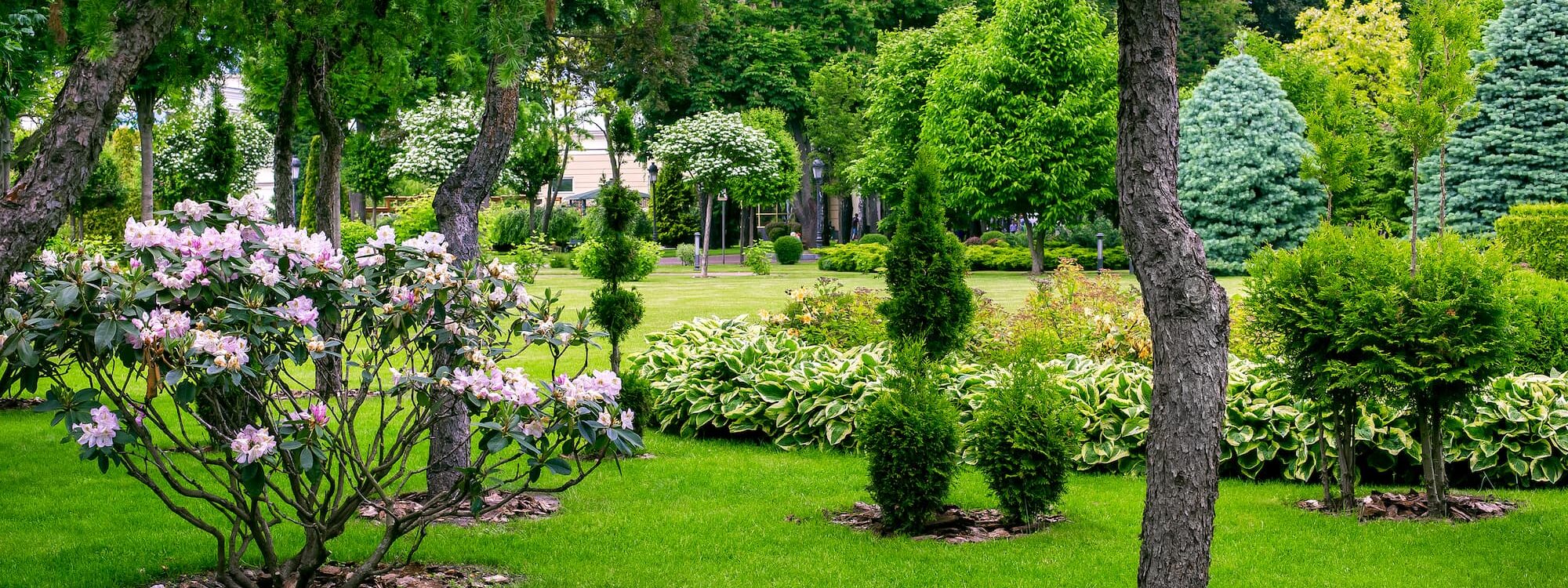 Comment entretenir votre jardin à moindre coût grâce au CESU ? Kingersheim