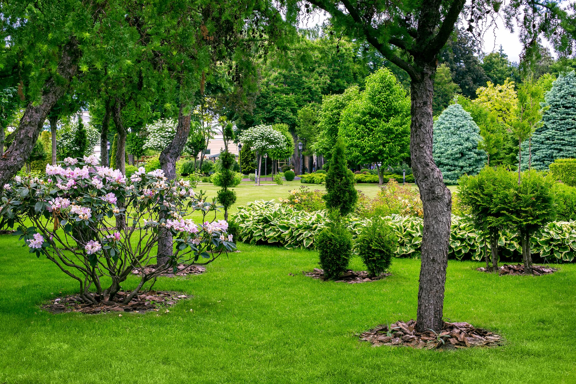 Comment entretenir votre jardin à moindre coût grâce au CESU ? Kingersheim