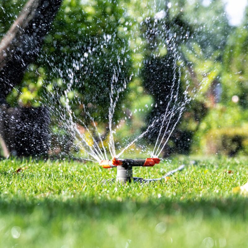 Arrosage automatique &amp; robotisation pour un jardin autonome à proximité de Kaysersberg et Turckheim Saint-Dié-des-Vosges 0