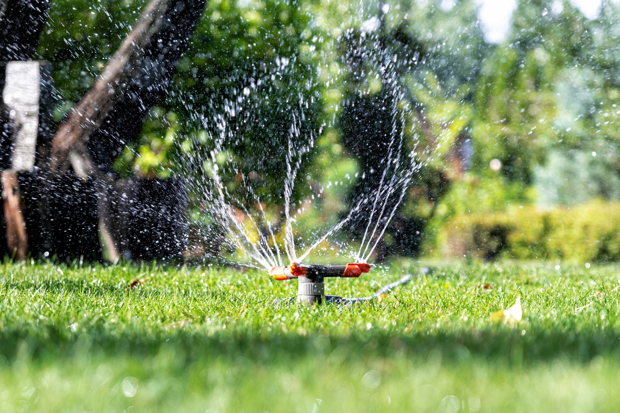 Arrosage automatique &amp; robotisation pour un jardin autonome à proximité de Kaysersberg et Turckheim Saint-Dié-des-Vosges