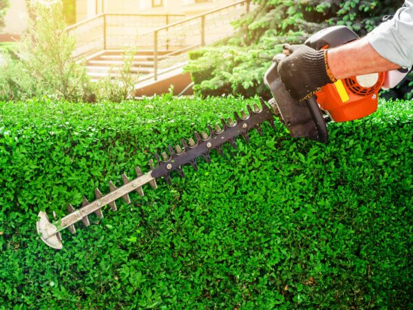 Entretien d’espaces verts : taille, tonte et élagage sur les secteurs de Kaysersberg et Ingersheim Saint-Dié-des-Vosges 3