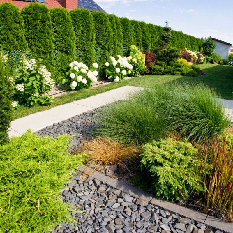 Aménagement de jardin paysager : terrasses, allées, escaliers et espaces sur mesure près de Bennwihr et Turckheim Erstein
