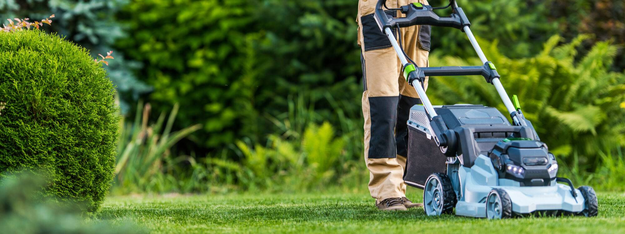 Entretien d’espaces verts : taille, tonte et élagage sur les secteurs de Kaysersberg et Ingersheim Rixheim