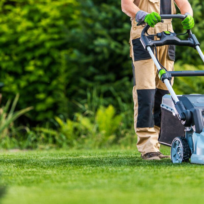 Entretien d’espaces verts : taille, tonte et élagage sur les secteurs de Kaysersberg et Ingersheim Rixheim
